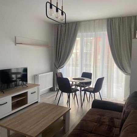 Divany Apartaments - Coresi Mall 布拉索夫 外观 照片