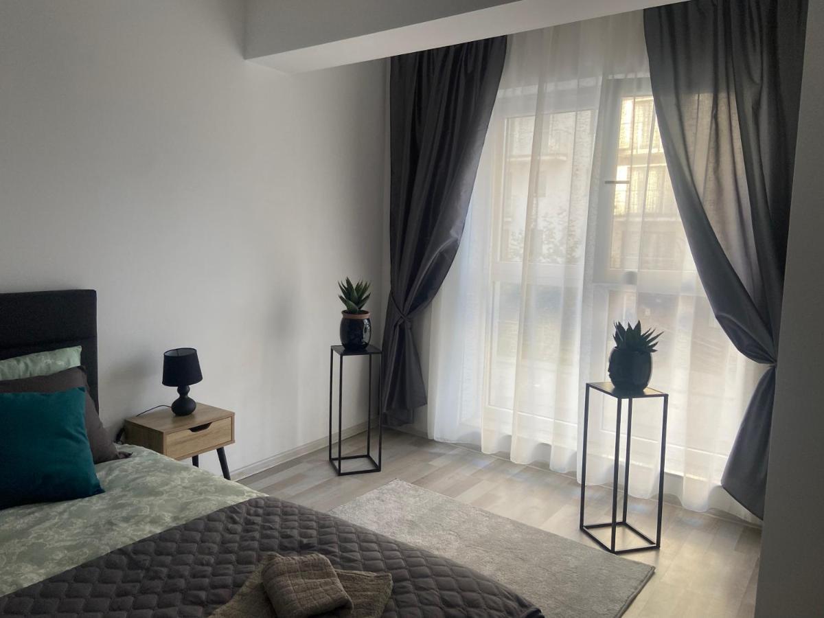 Divany Apartaments - Coresi Mall 布拉索夫 外观 照片