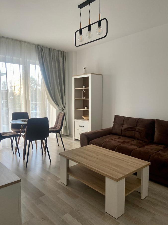 Divany Apartaments - Coresi Mall 布拉索夫 外观 照片