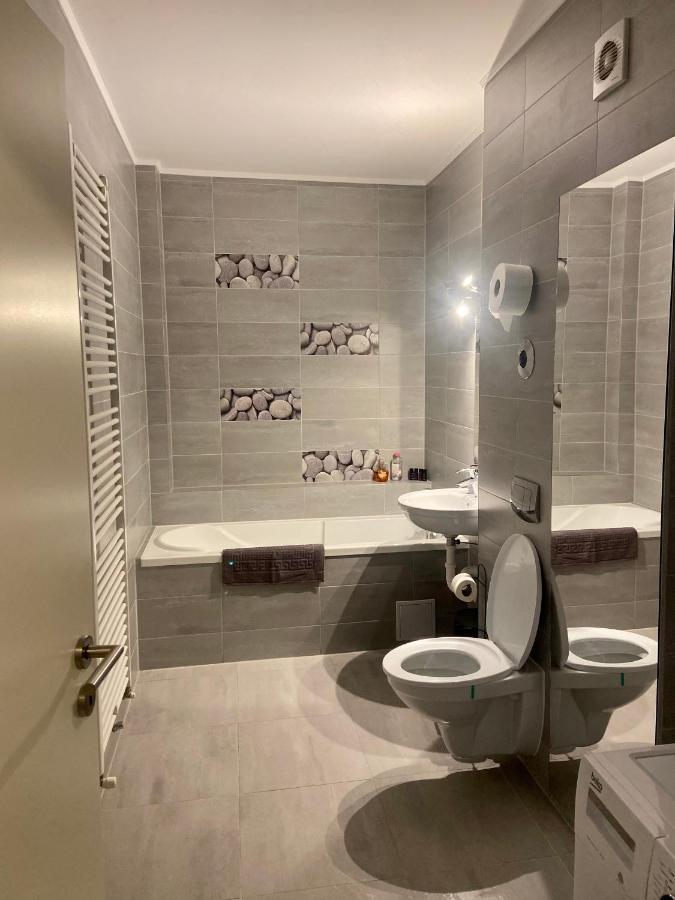 Divany Apartaments - Coresi Mall 布拉索夫 外观 照片