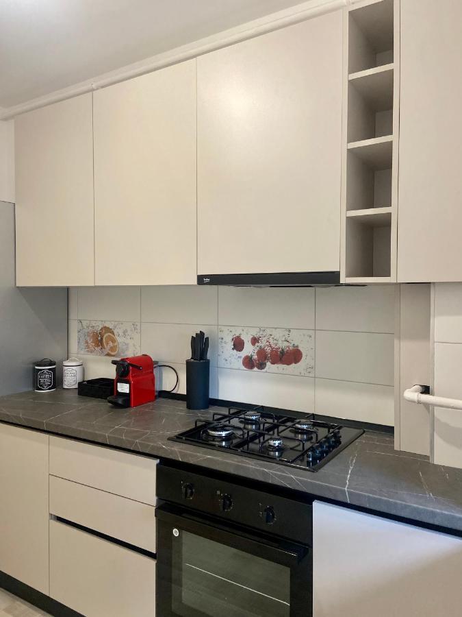 Divany Apartaments - Coresi Mall 布拉索夫 外观 照片